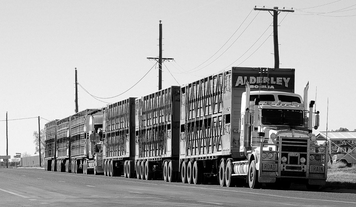 Grille des salaires 2022 du transport routier des marchandises