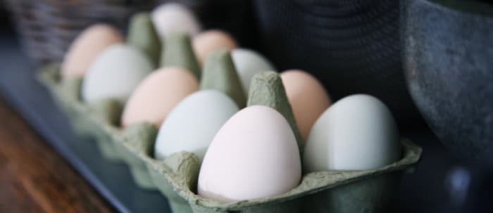 Rémunérations minimales 2022 des industries en produits d’œufs