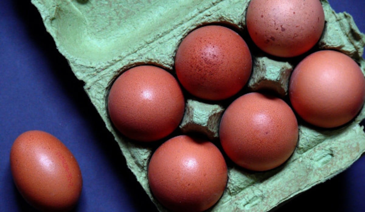 Grille des salaires 2023 des industries en produits d’œufs