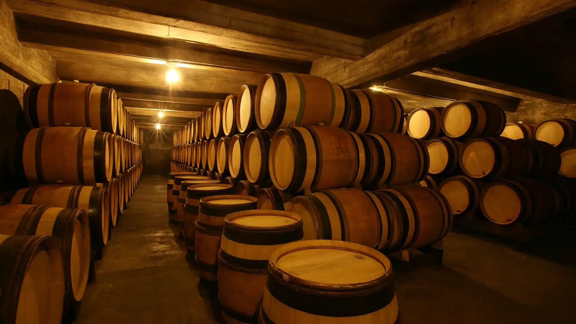 Grille des salaires 2025 des caves coopératives vinicoles et leurs unions