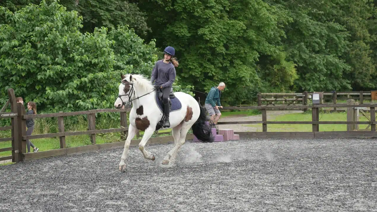 Grille des salaires 2026 du personnel des centres équestres