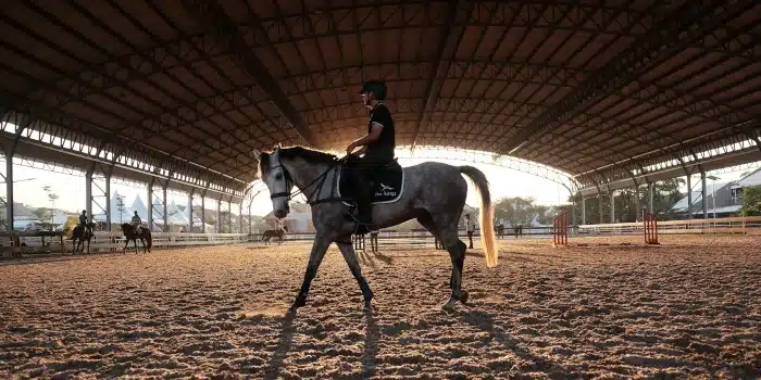 Rémunérations minimales 2026 du personnel des centres équestres